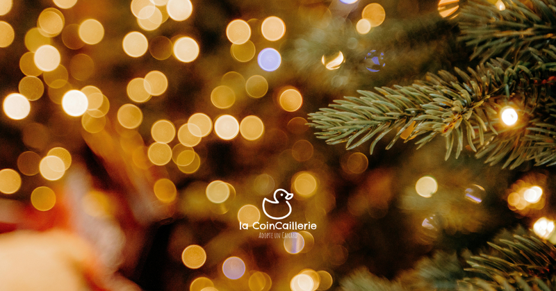 la CoinCaillerie - Noël