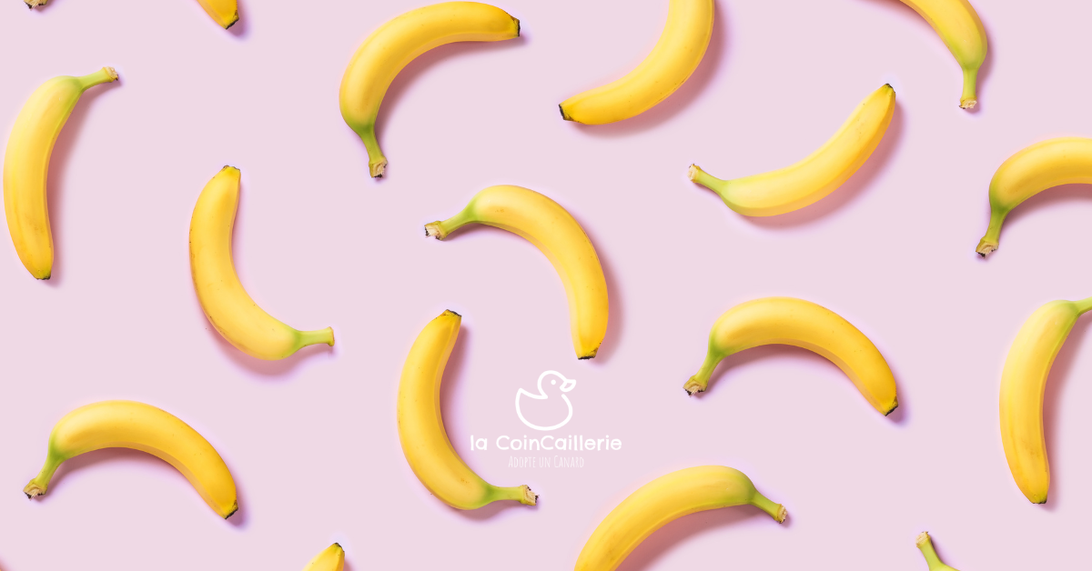 Boutique Bananes - la CoinCaillerie