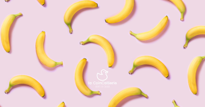 Boutique Bananes - la CoinCaillerie
