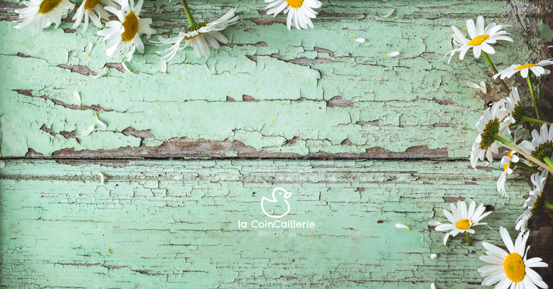 Boutique Printemps - la CoinCaillerie