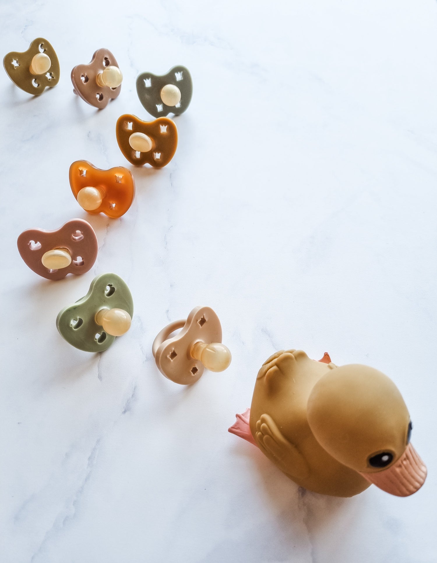 Sucettes CoinCaillerie