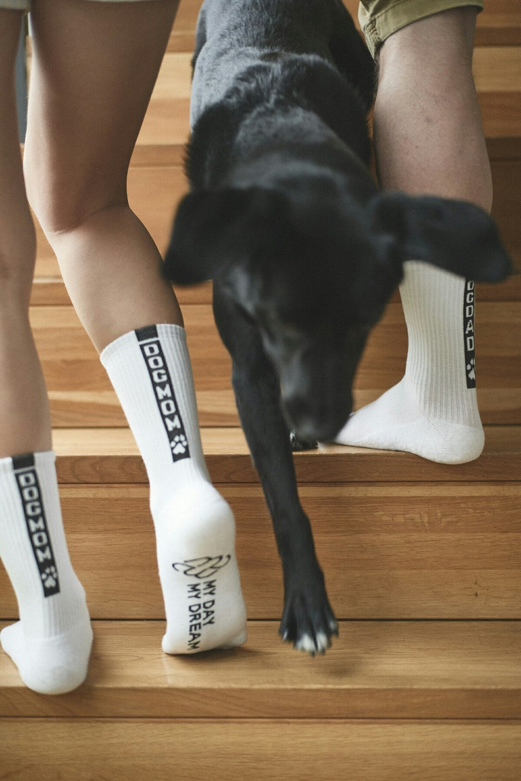 DOGMOM – vue produit 2