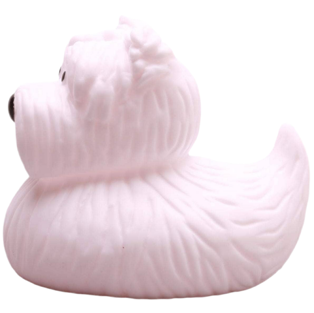 pato terrier ecossais elgate products