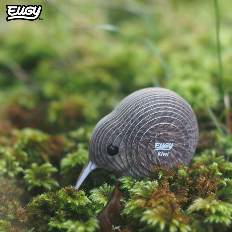 001 Kiwi