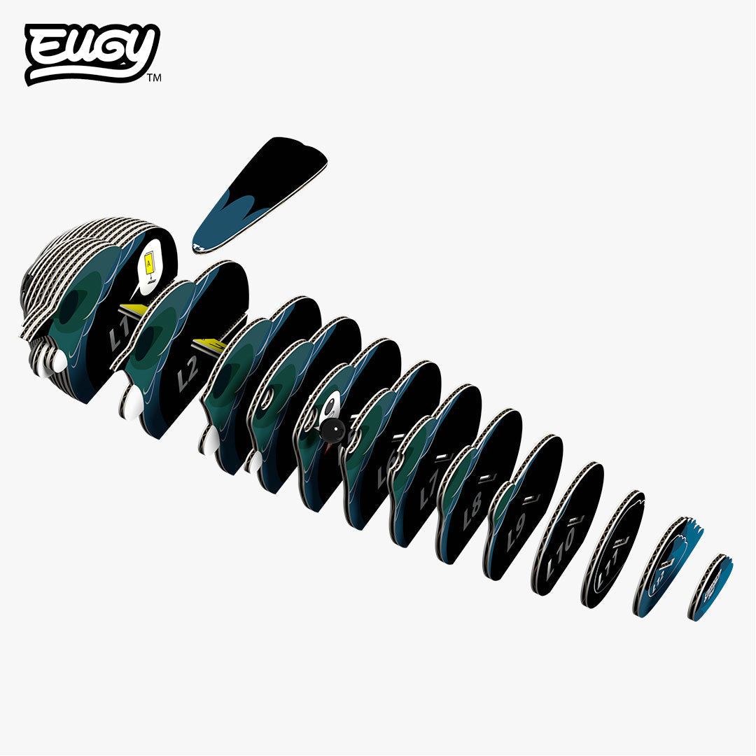 003 Tūī