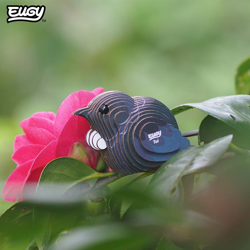 003 Tūī