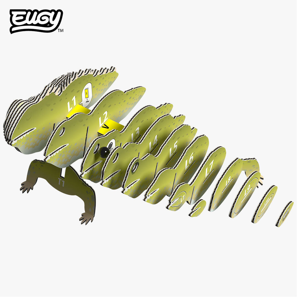 004 Tuatara
