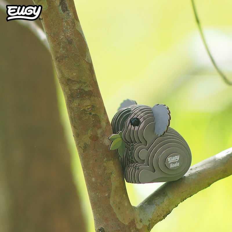 016 Koala