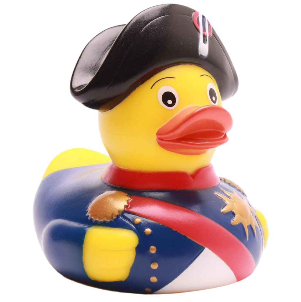 Kaczka Napoleona Bonaparte