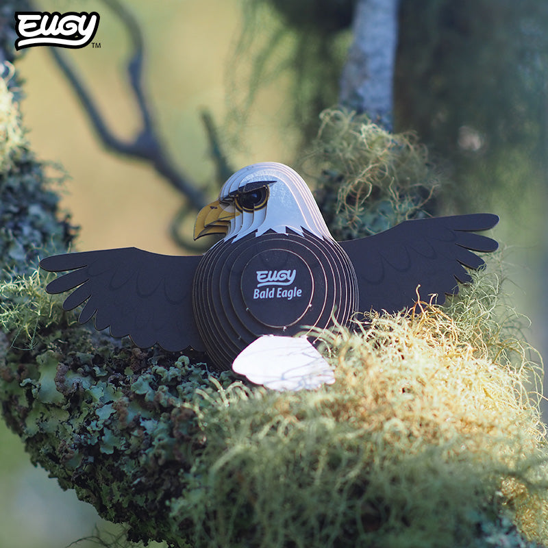 022 Bald Eagle