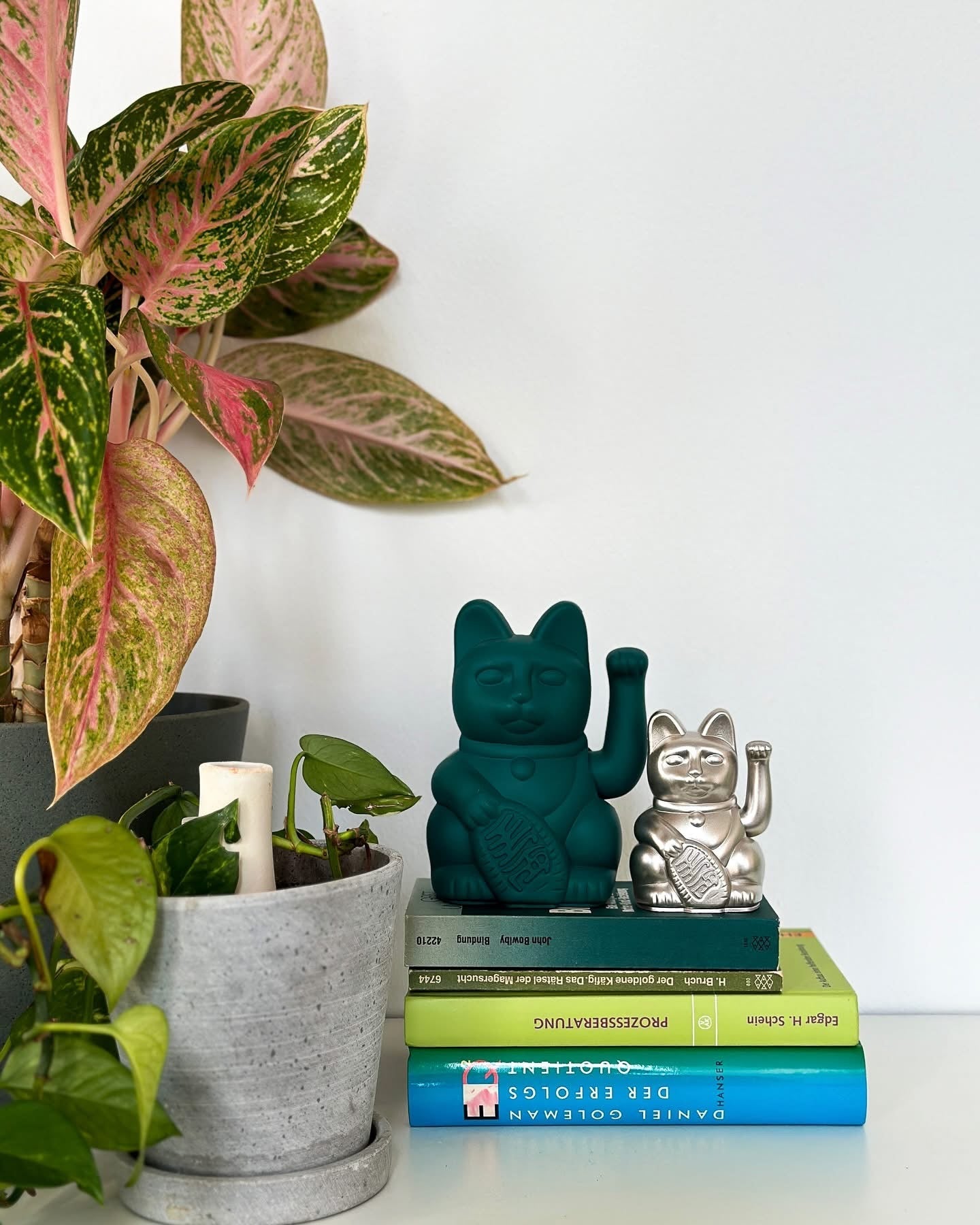 Зеленый счастливый кот