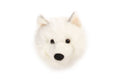 Lucy le loup blanc : déco murale - tête moyenne - Wild & Soft