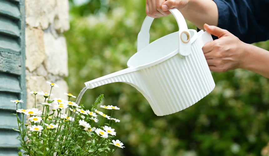Arrosoir Garden Beetle 5L