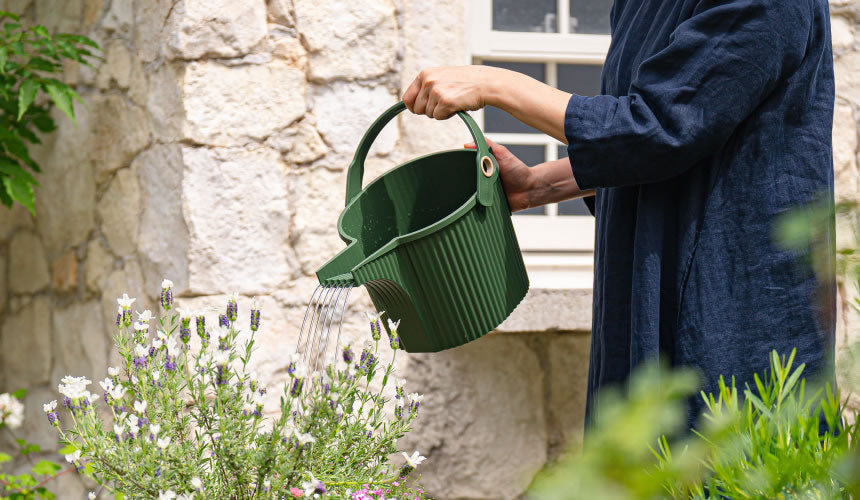 Arrosoir Garden Beetle 1,5L