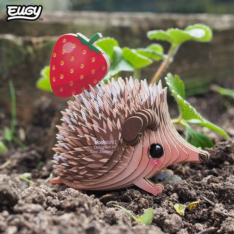 026 Hedgehog