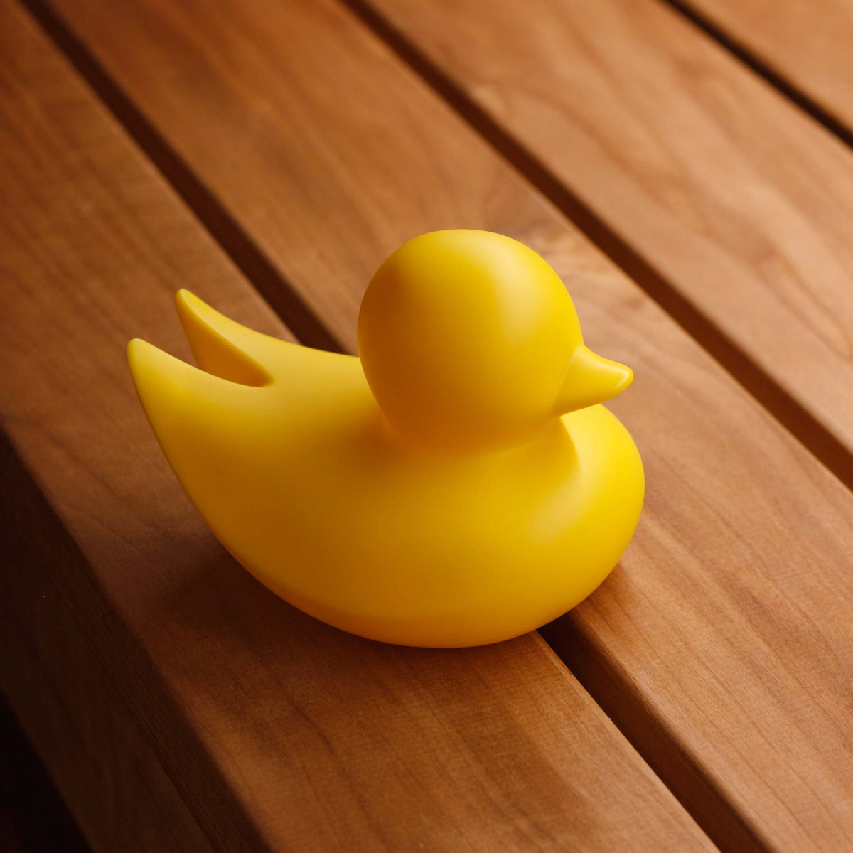 Canard Minimaliste