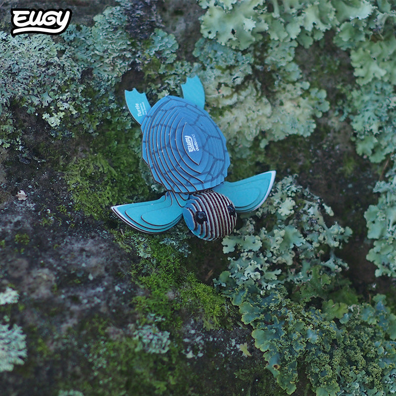 038 Tortue de mer
