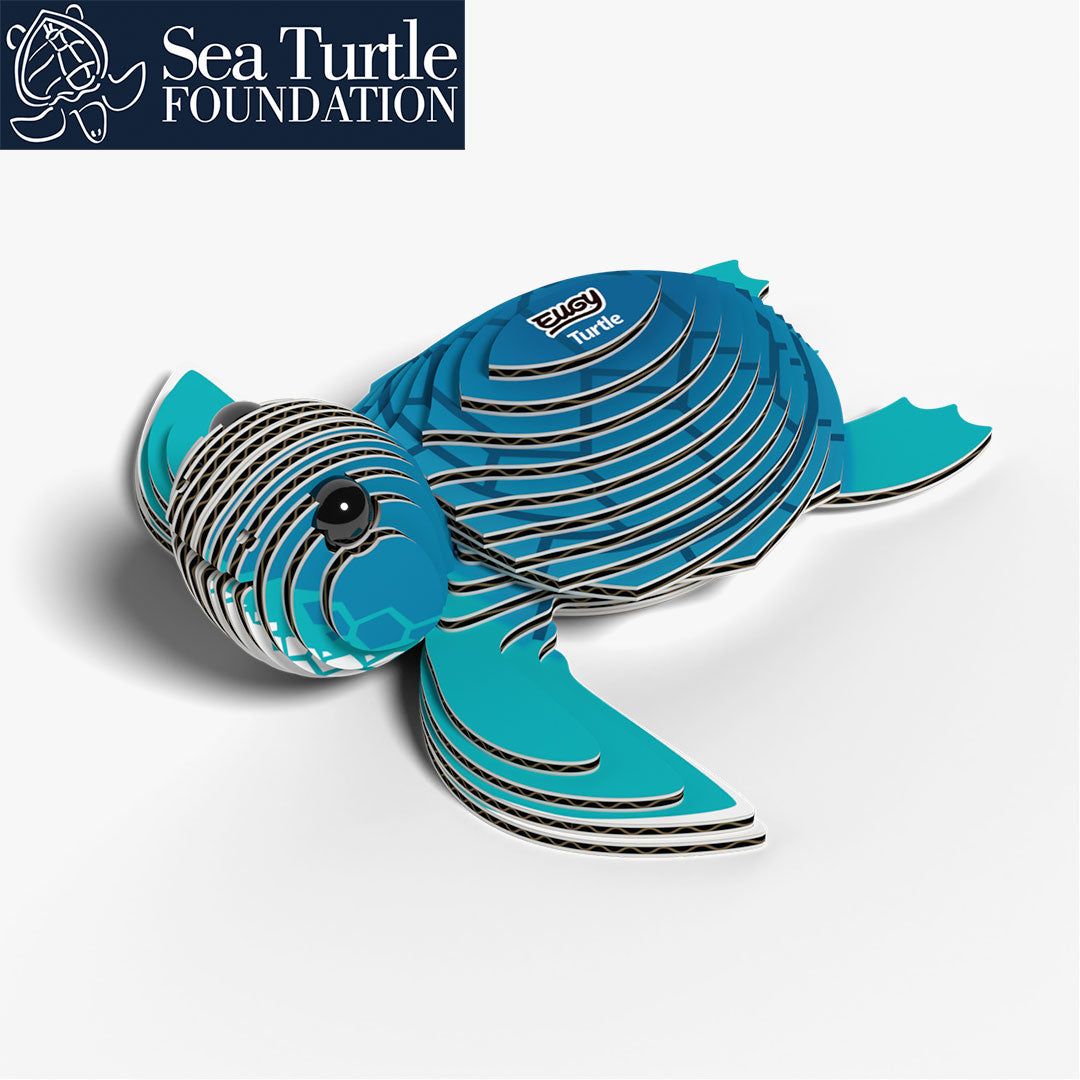 038 Tortue de mer