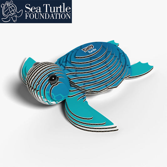 038 Turtle