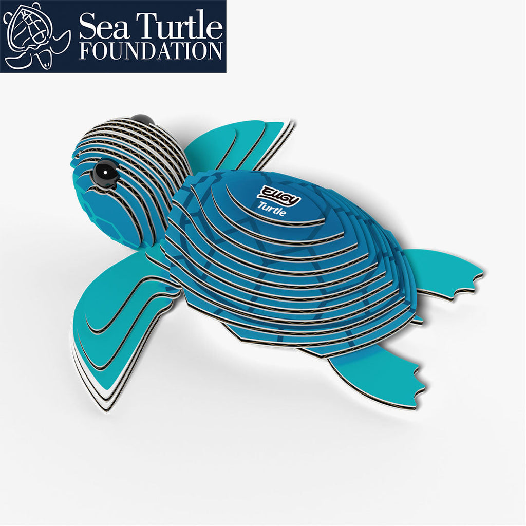 038 Tortue de mer