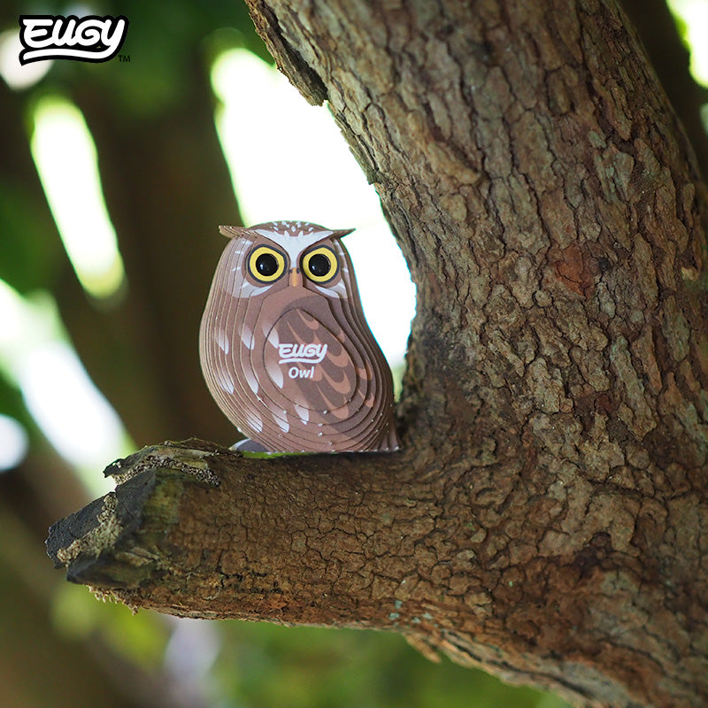 044 Hibou