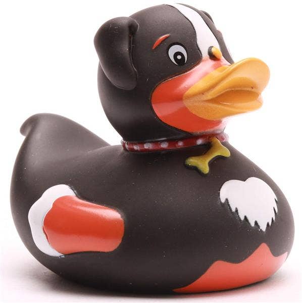 Ente Hund
