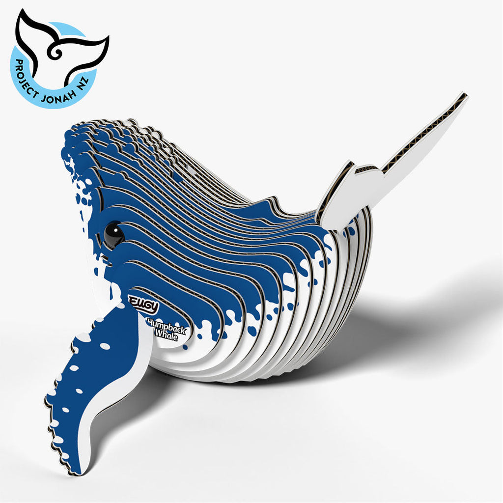 051 Baleine à bosse