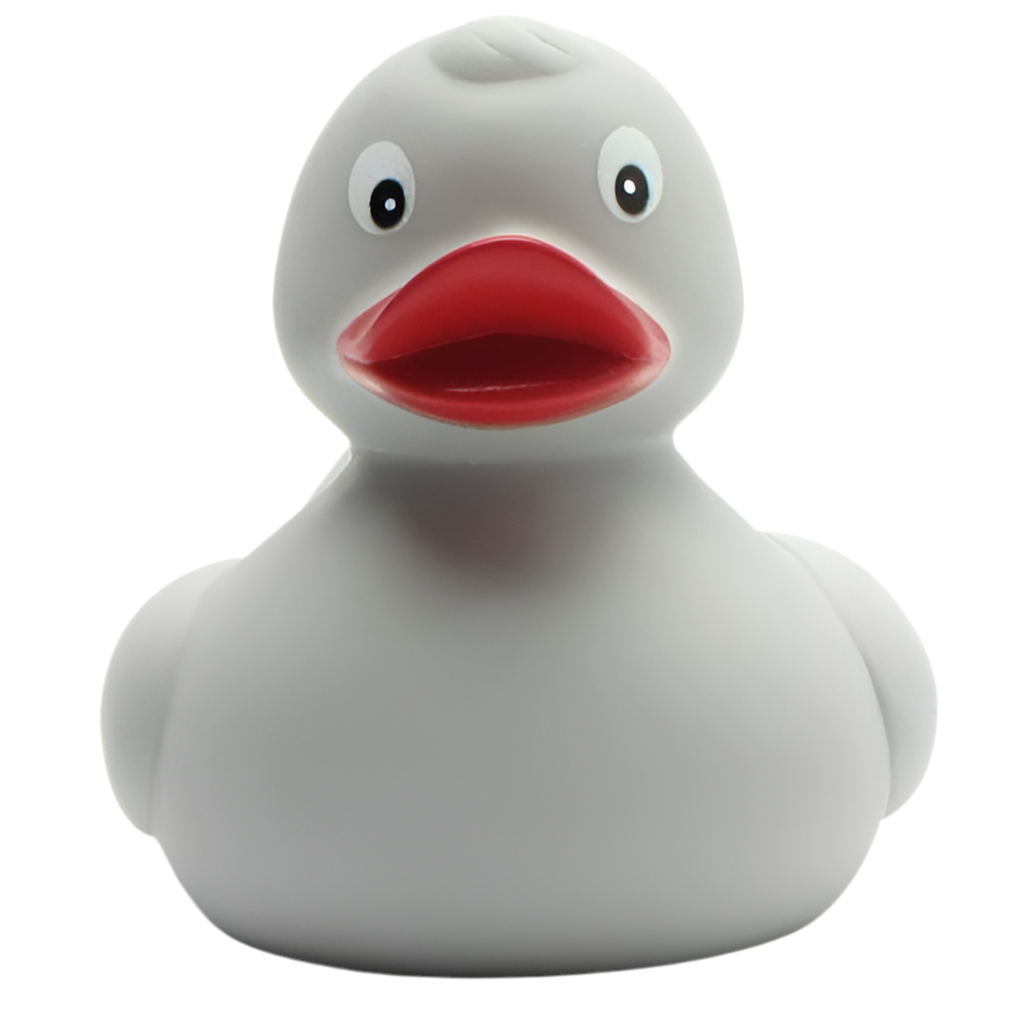 canard classique gris