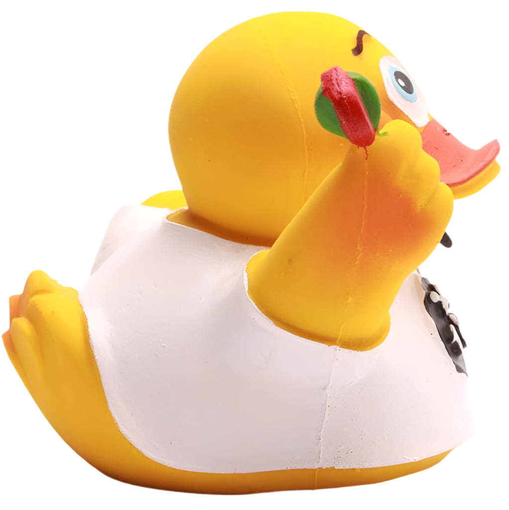 Champion Duck Darts