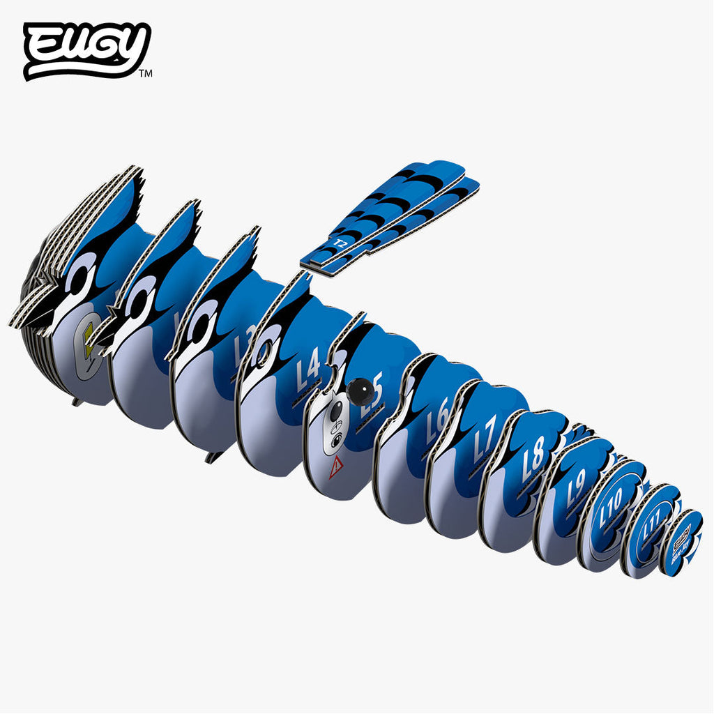 067 Blue Jay
