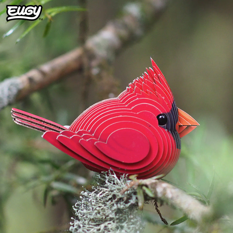 068 Cardinal