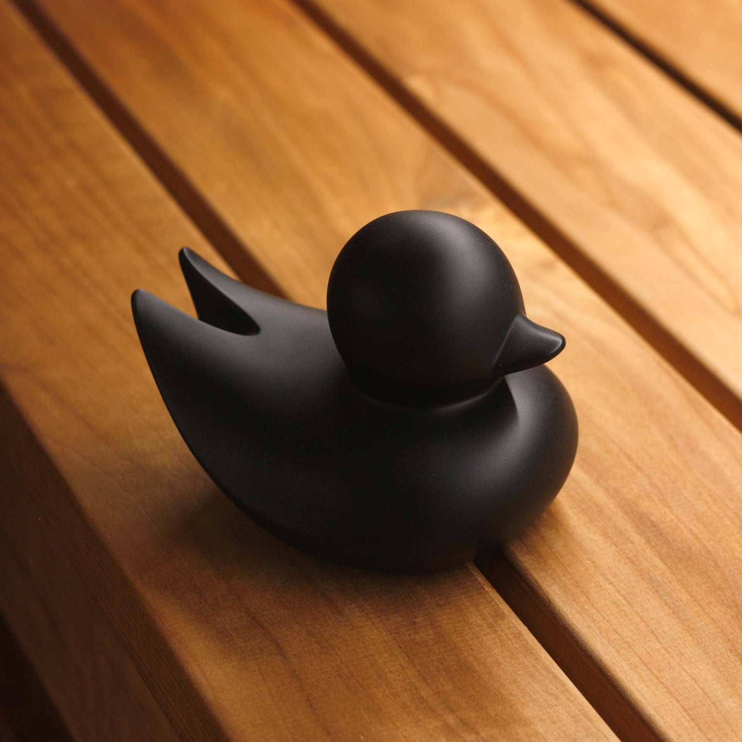 Canard Minimaliste