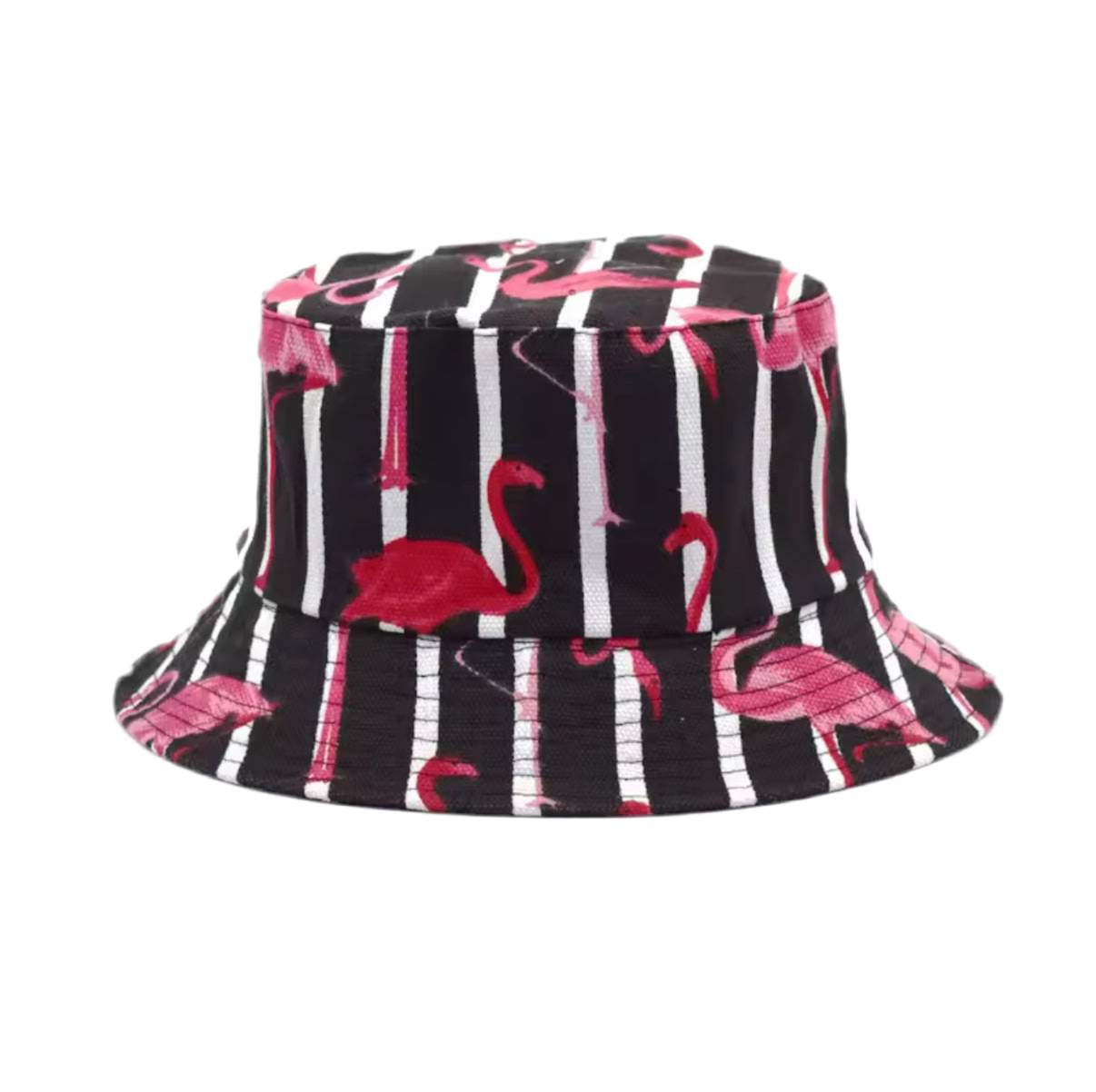 bob ray flamants roses mr colvert BOB FLAM 003 