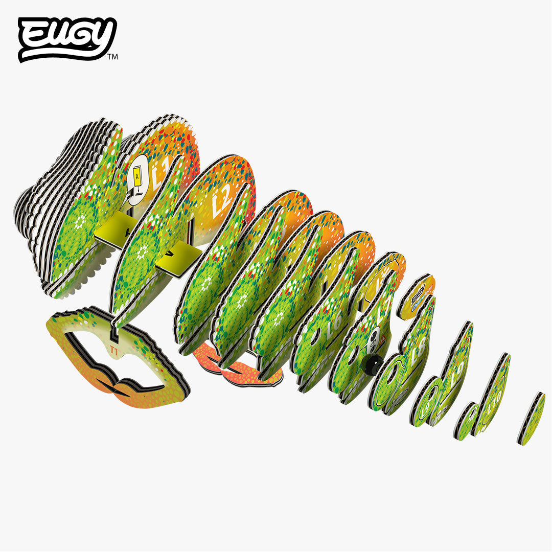 075 Caméléon