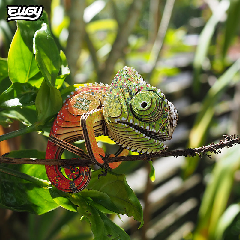 075 Caméléon