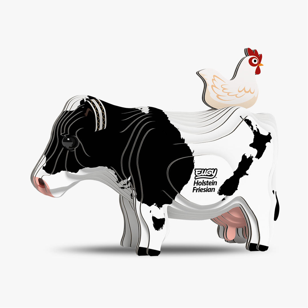 079 Holstein-Kuh