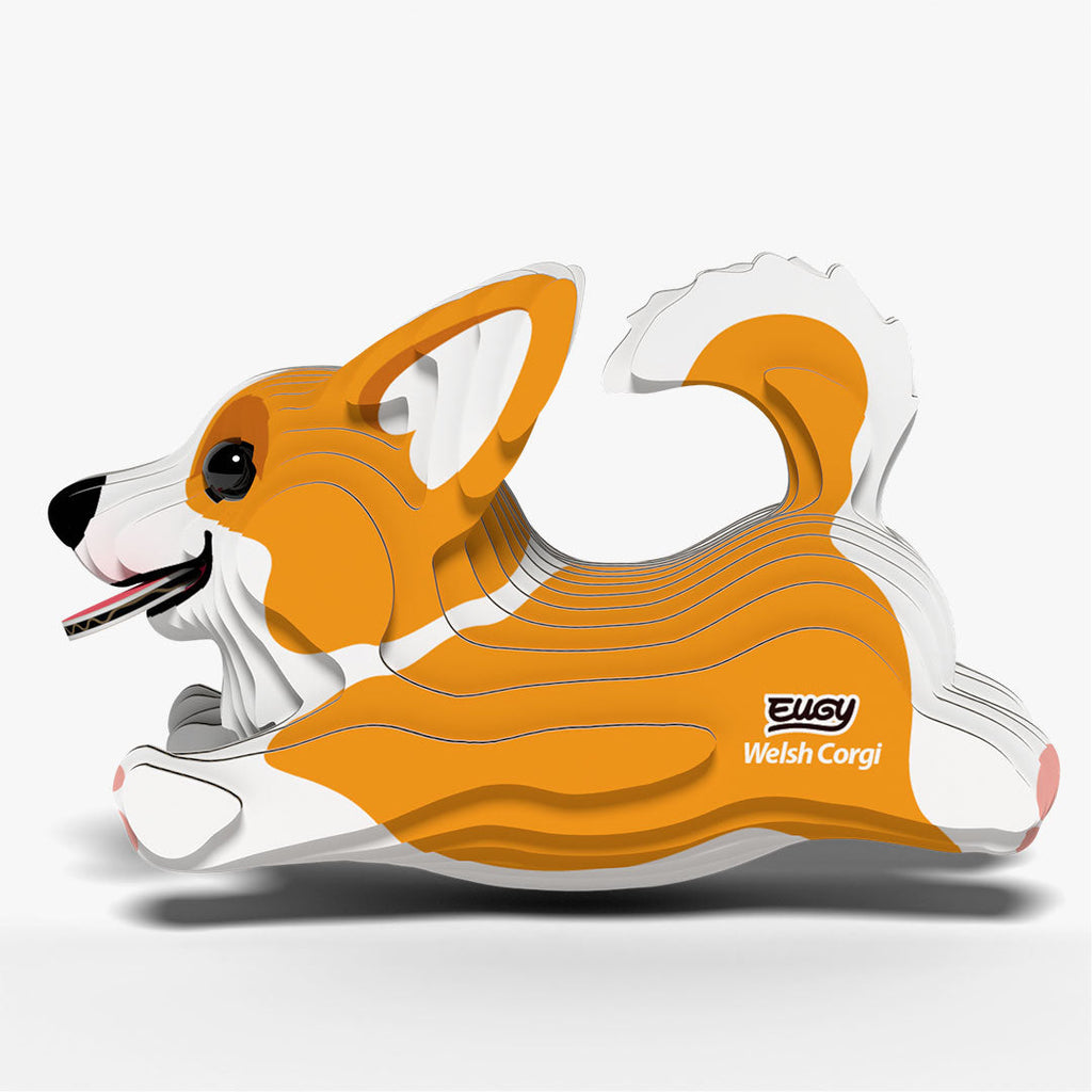 080 Chien Welsh Corgi