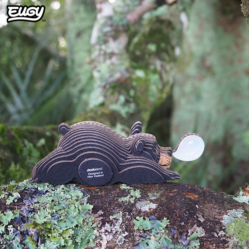 081 Black Bear