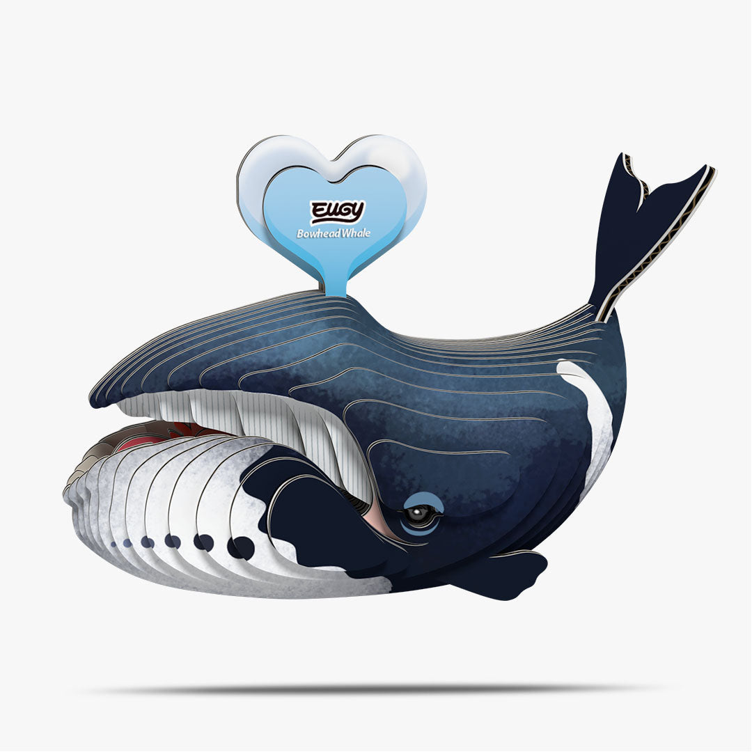 084 Baleine boréale