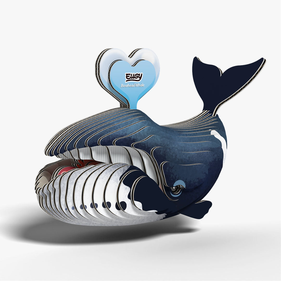 084 Baleine boréale