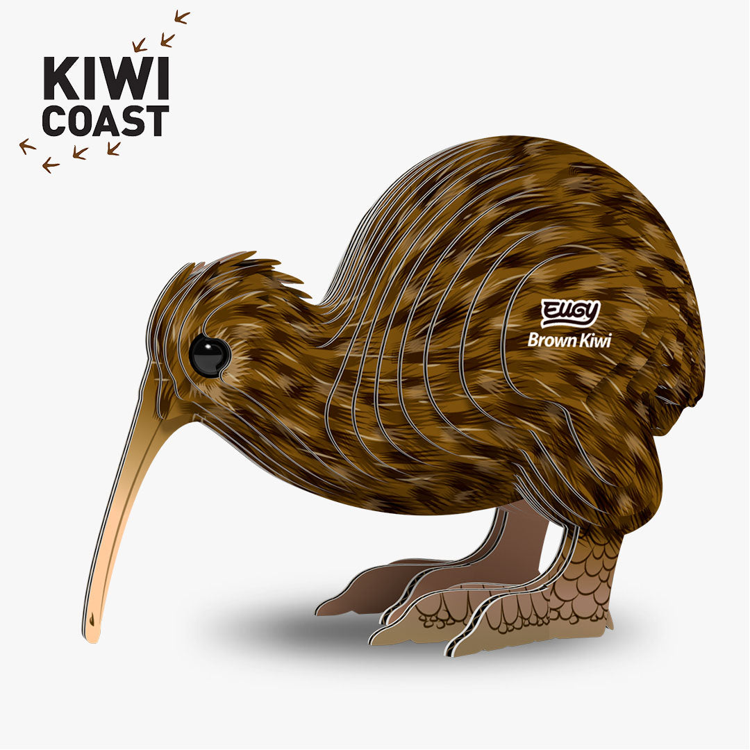 091 Kiwi brun