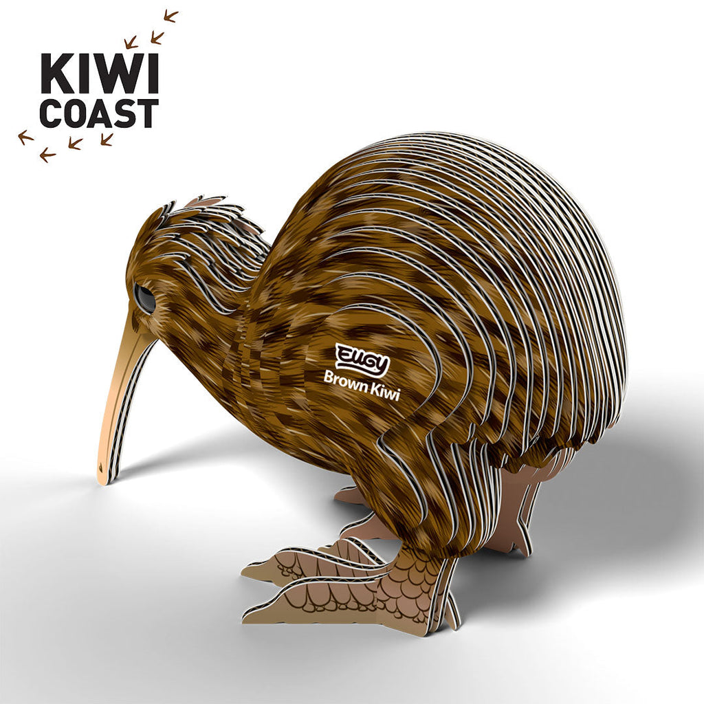 091 Kiwi brun