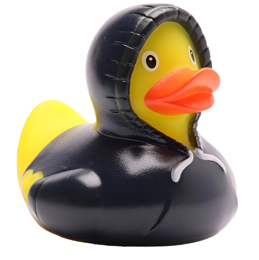 Canard Sweat à Capuche - Noir Duckshop CoinCaillerie