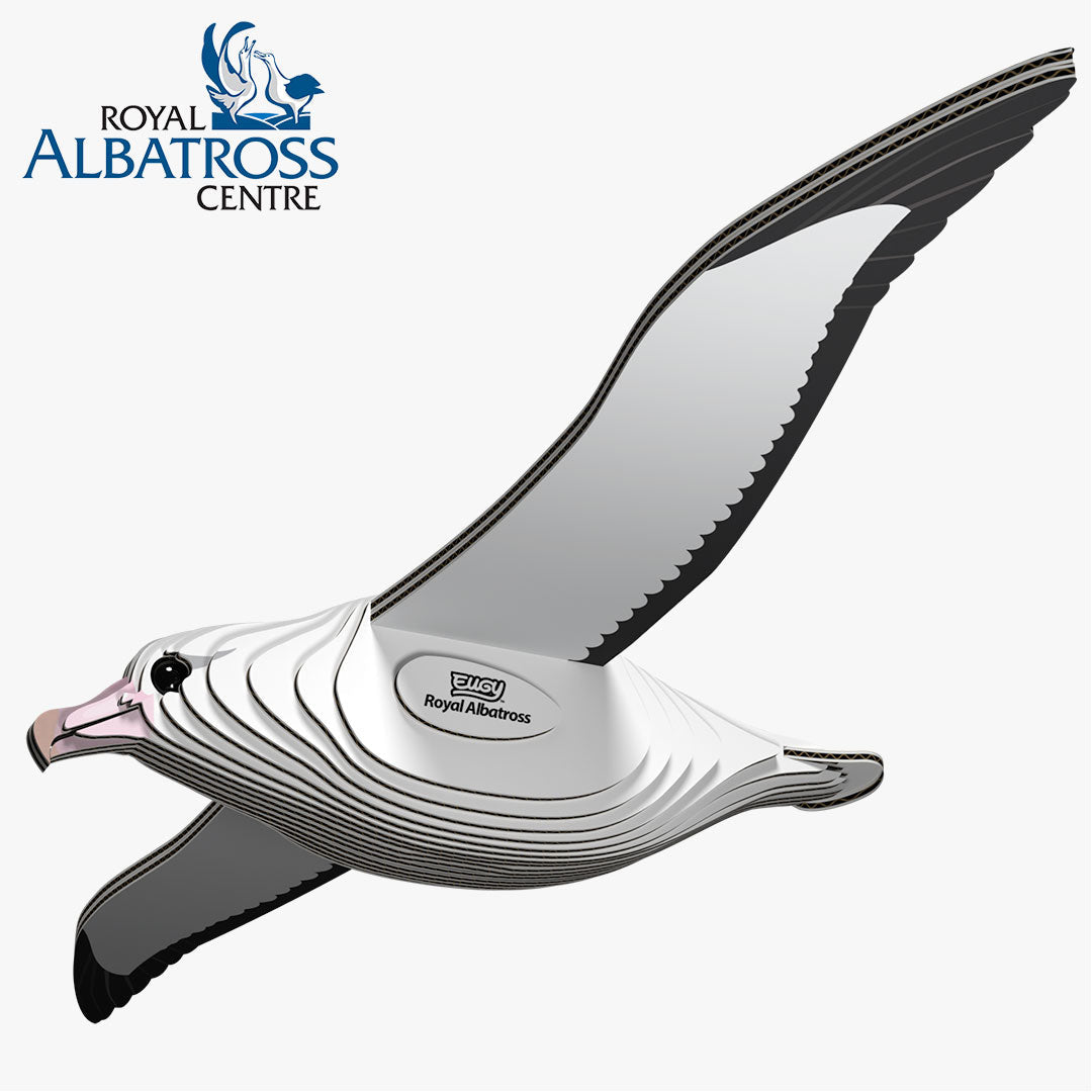 097 Albatros royal