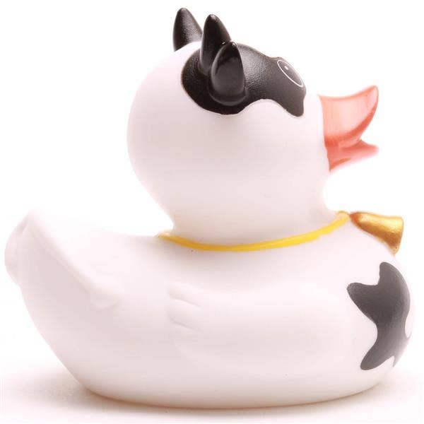 Canard Vache
