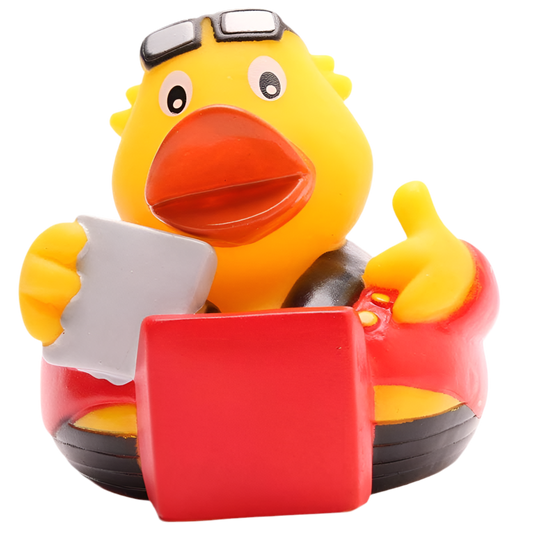 canard livreur de pizzas m e s