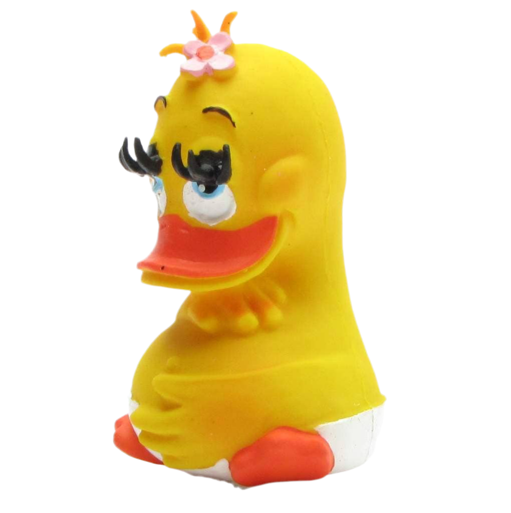 Pregnant Duck