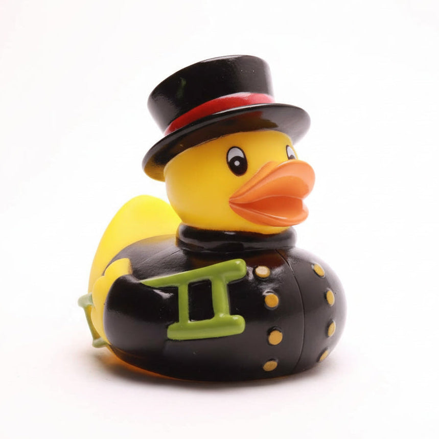 Canard Ramoneur