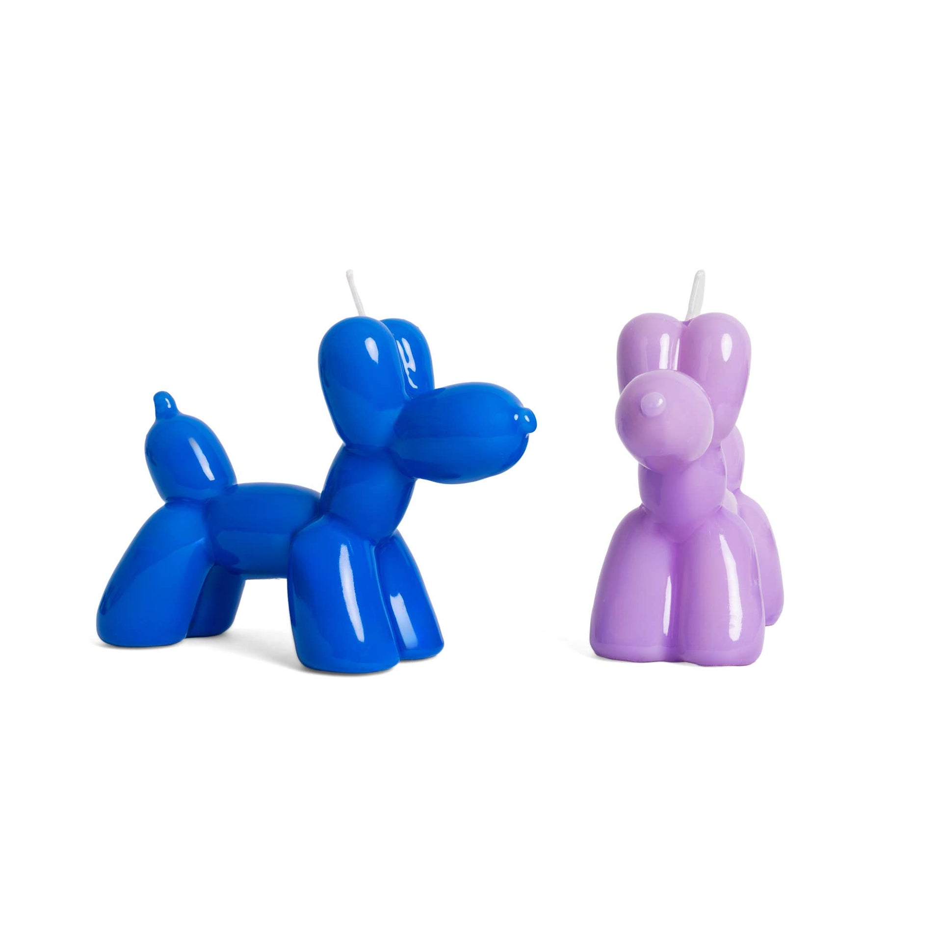 Chien Ballon Bleu Électrique Bougie Helio Ferretti Vue 3