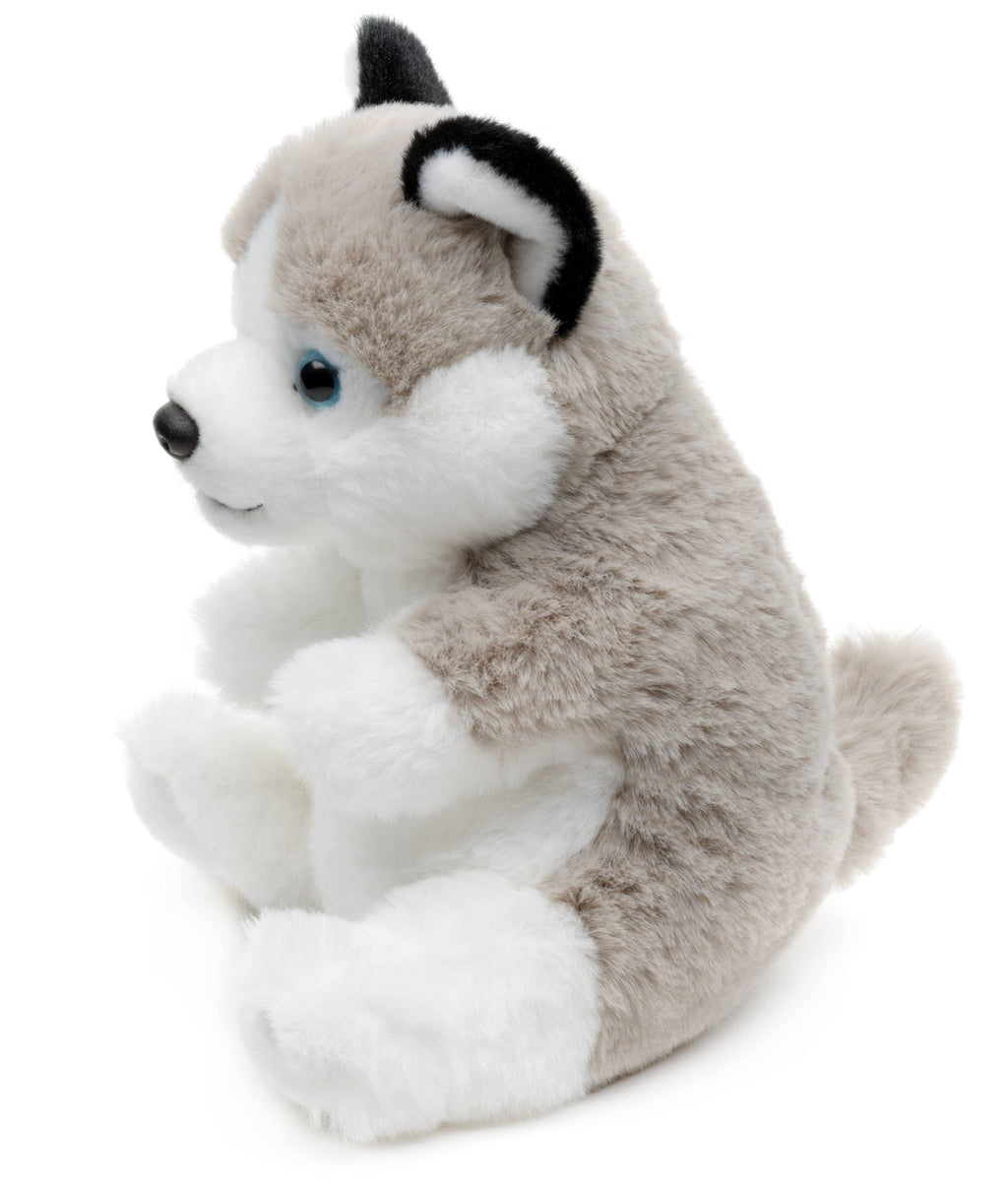 Husky, assis, style kawaii, doudou ou en peluche Uni Toys